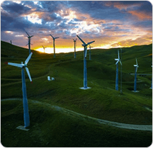 Environmental Sustainability