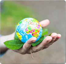 Social Sustainability