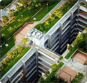 Financial Institutions