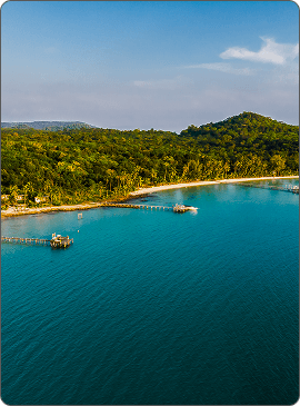 Investment presence image