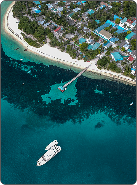 Investment presence image